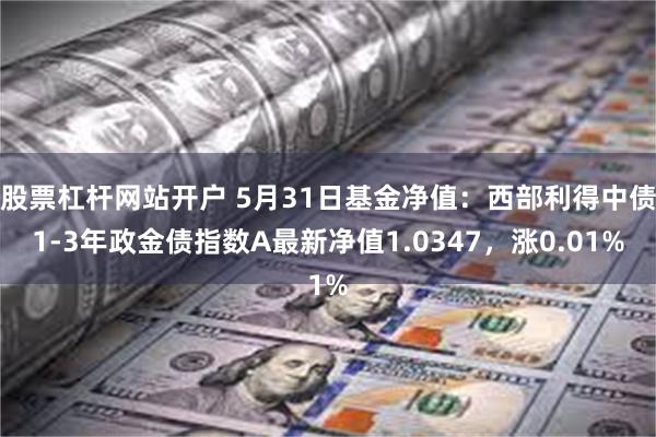 股票杠杆网站开户 5月31日基金净值：西部利得中债1-3年政金债指数A最新净值1.0347，涨0.01%