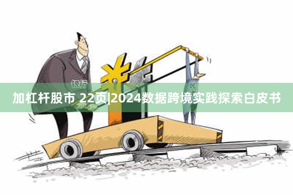 加杠杆股市 22页|2024数据跨境实践探索白皮书