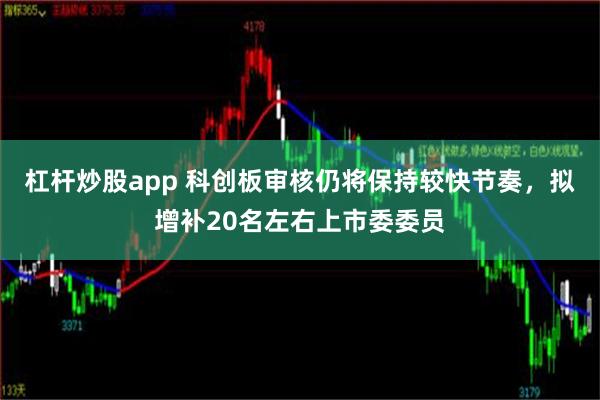 杠杆炒股app 科创板审核仍将保持较快节奏，拟增补20名左右上市委委员