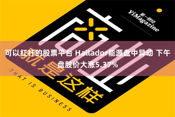 可以杠杆的股票平台 Hallador能源盘中异动 下午盘股价大涨5.37%